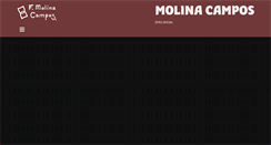 Desktop Screenshot of molinacampos.net